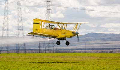 More on Environmental Health Hazards: Herbicides Image